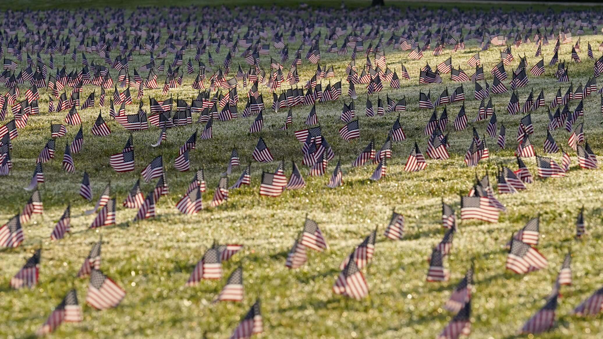 قبور رمزية لمرتزقة أمريكيين قتلوا في أوكرانيا تظهر في الولايات المتحدة.. صور