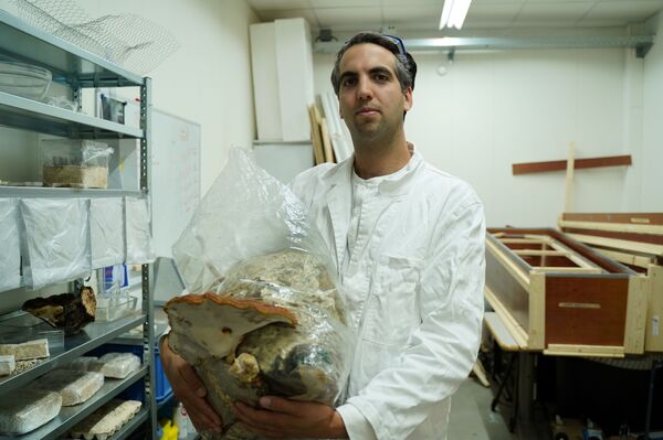 النعش الحي...يحول الجثمان إلى عناصر غذائية رئيسية للنبات..صور - سبوتنيك عربي