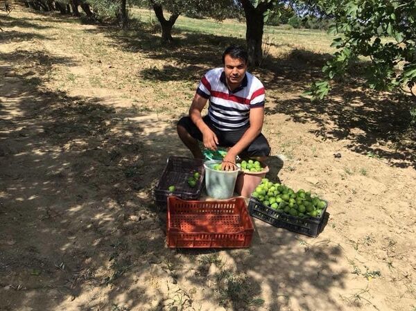 مهندس تونسي يغادر مكاتب رئاسة الحكومة ليمتهن بيع العنب عبر فيسبوك - سبوتنيك عربي