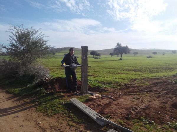 مهندس تونسي يغادر مكاتب رئاسة الحكومة ليمتهن بيع العنب عبر فيسبوك - سبوتنيك عربي