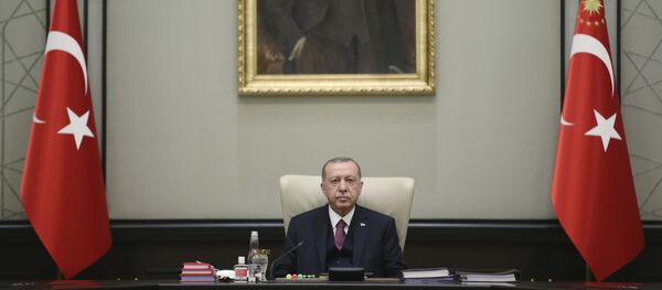 الرئيس التركي رجب طيب أردوغان، تركيا 24 سبتمبر 2020 - سبوتنيك عربي