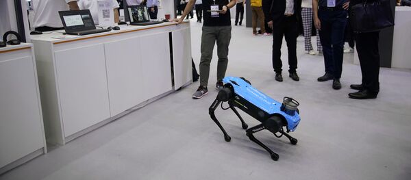 روبوتات على شكل كلاب  - سبوتنيك عربي