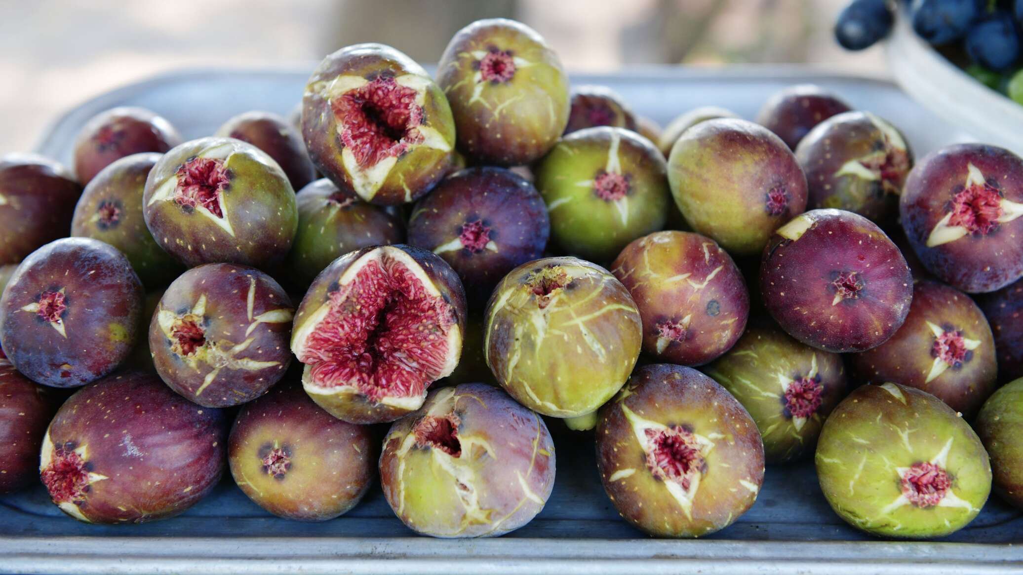 5 دول عربية تسيطر على إنتاج التين عالميا... تعرف على الـ10 الكبار