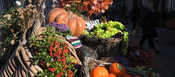 مهرجان هدايا الخريف مهرجان هدايا الخريف - سبوتنيك عربي