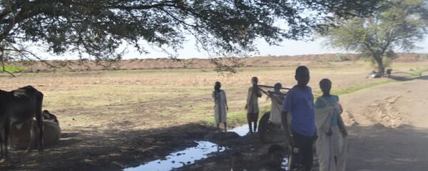 الكنابي - سبوتنيك عربي