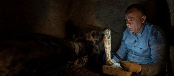 مصطفى الوزيري، الأمين العام للمجلس الأعلى للآثار المصري - سبوتنيك عربي