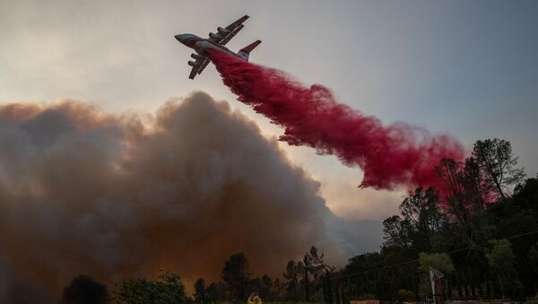 إطفاء الحرائق في حديقة دير بارك في ولاية كاليفورنيا، الولايات المتحدة 27 سبتمبر 2020 - سبوتنيك عربي