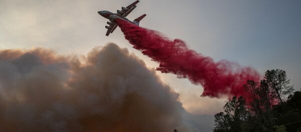 إطفاء الحرائق في حديقة دير بارك في ولاية كاليفورنيا، الولايات المتحدة 27 سبتمبر 2020 - سبوتنيك عربي