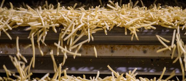 حصاد وتجهيز أول محصول من البطاطس الروسية لماكدونالدز - سبوتنيك عربي