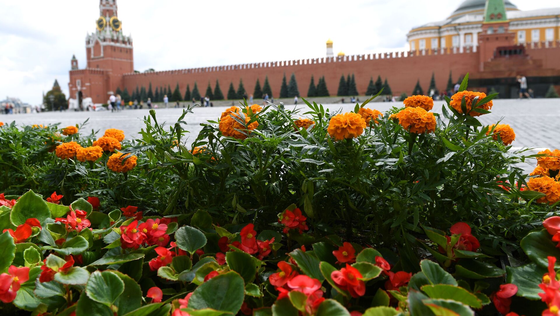 الكرملين، موسكو 2020 الكرملين، موسكو 2020 - سبوتنيك عربي, 1920, 30.03.2021