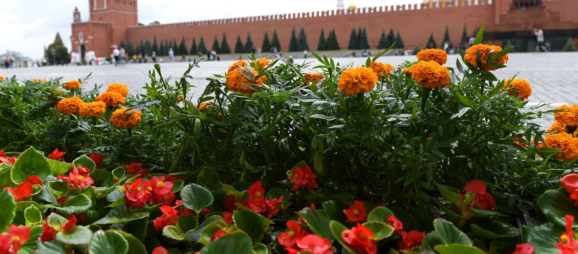 الكرملين، موسكو 2020 - سبوتنيك عربي, 1920, 30.03.2021