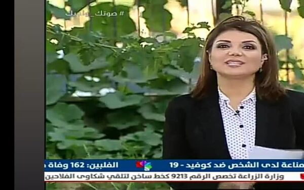 الإعلامية رائدة وقاف - سبوتنيك عربي