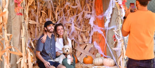 زينة الهالوين في كاليفورنيا، الولايات المتحدة  - سبوتنيك عربي