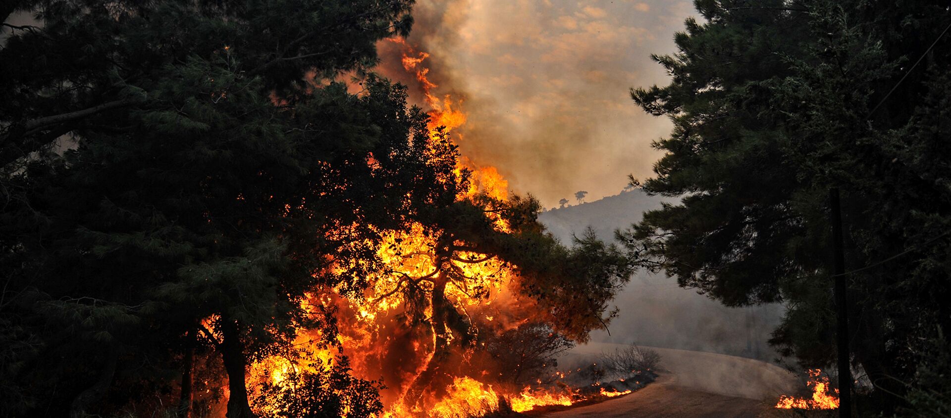 قوات الجيش السوري تساعد طواقم إطفاء الحريق في إخماد حرائق اللاذقية، سوريا 10 أكتوبر 2020 - سبوتنيك عربي, 1920, 30.03.2021