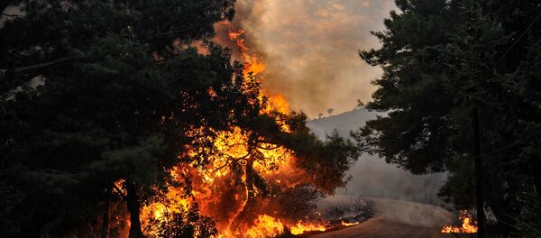 قوات الجيش السوري تساعد طواقم إطفاء الحريق في إخماد حرائق اللاذقية، سوريا 10 أكتوبر 2020 - سبوتنيك عربي