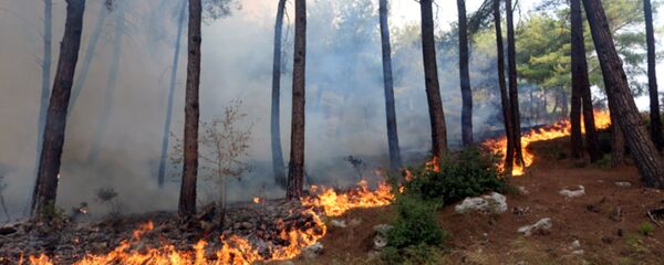 قوات الجيش السوري تساعد طواقم إطفاء الحريق في إخماد حرائق بيت زنتوت في اللاذقية، سوريا 10 أكتوبر 2020 - سبوتنيك عربي