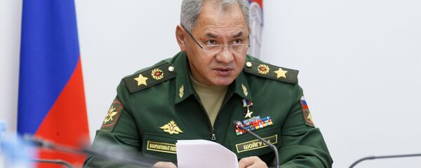 وزير الدفاع الروسي سيرغي شويغو - سبوتنيك عربي