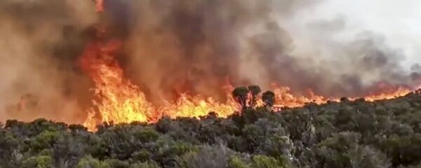 اشتعال حريق على قمة جبل كليمنجارو في تنزانيا، 12 أكتوبر 2020 - سبوتنيك عربي