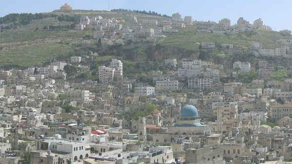 نابلس  - سبوتنيك عربي