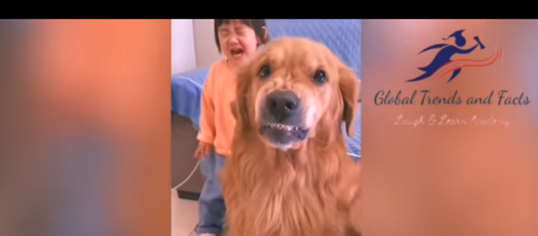 كلب يدافع عن صاحبته الصغيرة ضد والديها  - سبوتنيك عربي