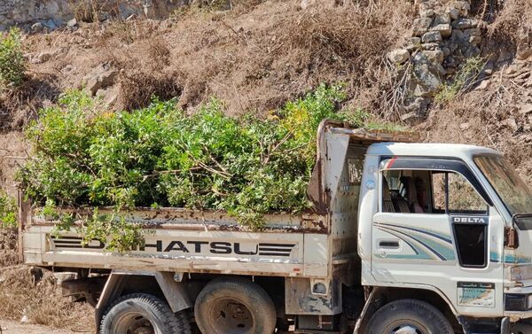 مبادرة تطوعية مبادرة تطوعية - سبوتنيك عربي
