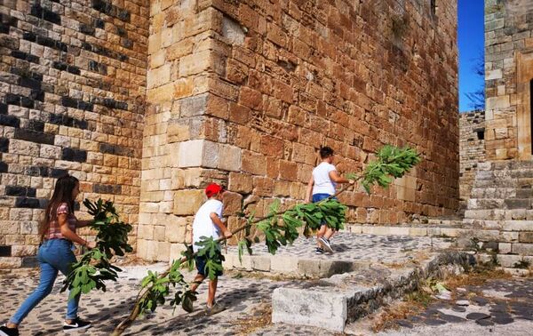 مبادة تطوعية مبادة تطوعية - سبوتنيك عربي