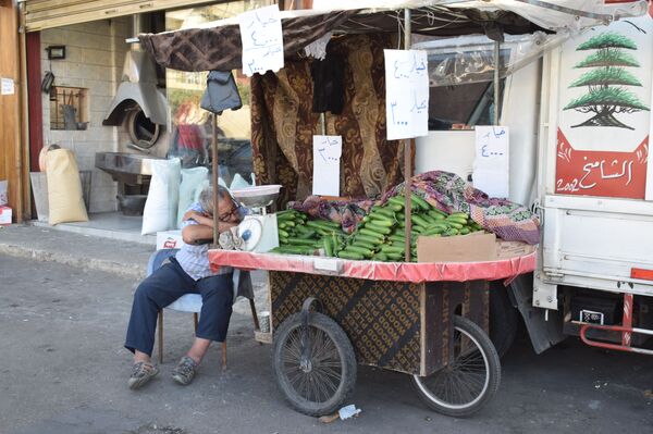 تردي أوضاع اللاجئين الفلسطينيين الاقتصادية في لبنان... فيديو تردي أوضاع اللاجئين الفلسطينيين الاقتصادية في لبنان... فيديو - سبوتنيك عربي