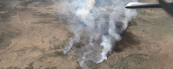 حرائق كاليفورنيا حرائق كاليفورنيا - سبوتنيك عربي