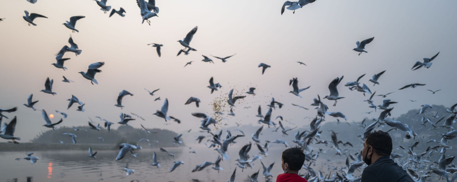 أب وابنه يطعمان طيور النورس بالقرب من ضفاف نهر يامونا خلال صباح مليء بالضباب الدخاني في نيودلهي، الهند، 29 أكتوبر 2020. - سبوتنيك عربي, 1920, 10.05.2023