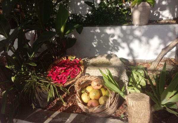 نساء الريف السوري يتحدين الحصار بالعودة إلى الطبيعة..صور وفيديو - سبوتنيك عربي