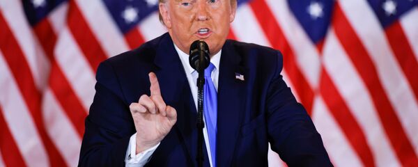 الرئيس الأمريكي دونالد ترامب  - سبوتنيك عربي