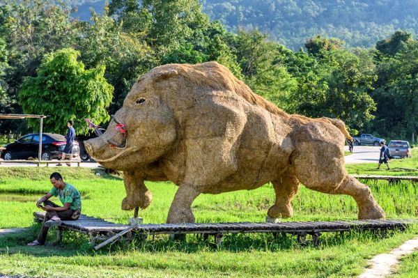  زوار يلتقطون صورا بجوار منحوتات للحيوانات صنعت بالكامل من  قش الأرز في حديقة ترفيهية المطلة على بحيرة هواي توينغ تاو، بالقرب من مدينة تشيانغمى، تايلاند 1 نوفمبر 2020 - سبوتنيك عربي