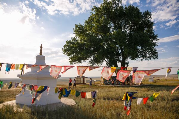 شجرة الحور الوحيدة مع مجمومة من الينابيع حولها، وهو نصب تذكاري طبيعي إقليمي في كالميكيا. هناك 8 أبراج بوذية حول الشجرة - سبوتنيك عربي