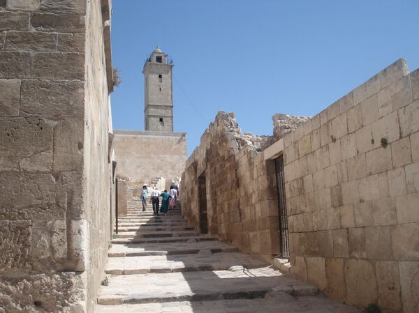 أسود وتنانين وحدوة... تعرف على خفايا رموز أكبر قلاع العالم - سبوتنيك عربي