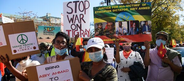 مظاهرات في واشنطن ضد العمليات العسكرية في تيغراي - سبوتنيك عربي