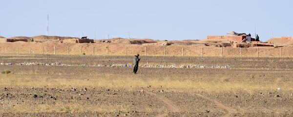 الصحراء الغربية الصحراء الغربية - سبوتنيك عربي