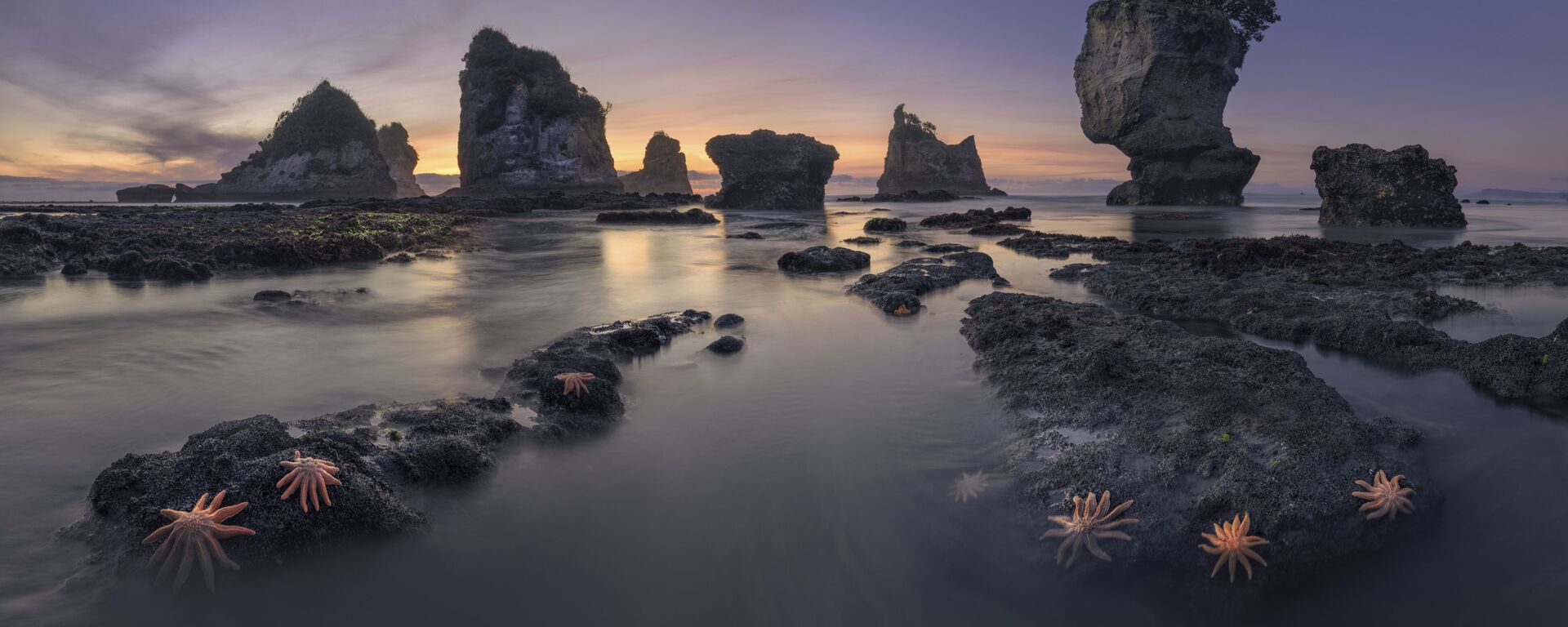 صورة بعنوان ساحل نيوزيلندا، للمصور الروسي ناتي سيرغي أليشتشينكو، الذي دخل ضمن ترشيحات أفضل صور نوب 101 من المسابقة الدولية لمصور المناظر الطبيعية لعام 2020 - سبوتنيك عربي, 1920, 18.05.2022