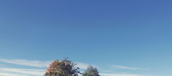 وفاة زوجين إيطاليين في نفس اليوم بسبب كورونا - سبوتنيك عربي