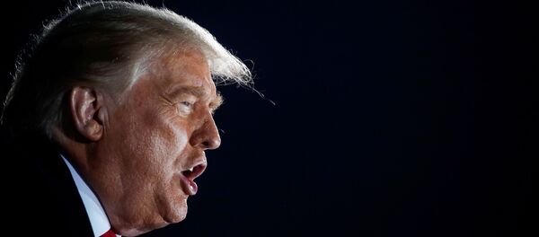 الرئيس الأمريكي، دونالد ترامب - سبوتنيك عربي