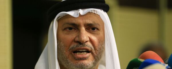 وزير الدولة الإماراتي للشؤون الخارجية، أنور قرقاش - سبوتنيك عربي