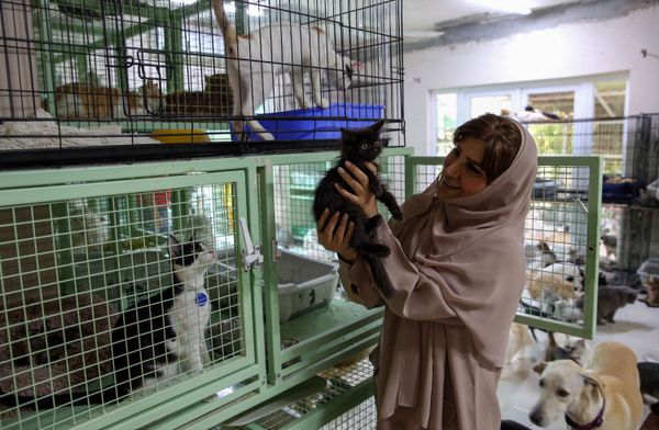العُمانية مريم البلوشي تطعم حيواناتها الأليفة في منزلها في مسقط، سلطنة عُمان 20 نوفمبر 2020 العُمانية مريم البلوشي تطعم حيواناتها الأليفة في منزلها في مسقط، سلطنة عُمان 20 نوفمبر 2020 - سبوتنيك عربي