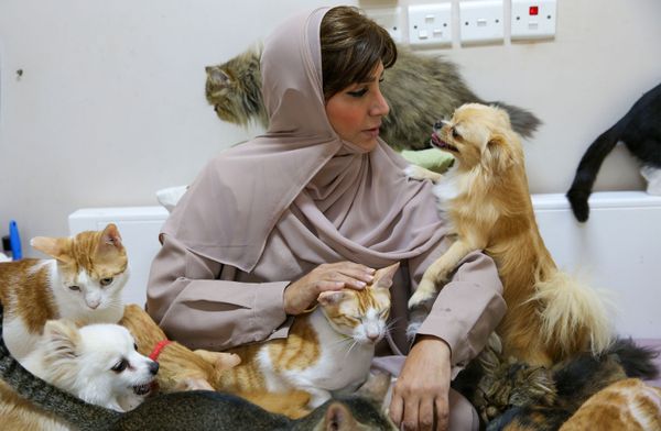 العُمانية مريم البلوشي تطعم حيواناتها الأليفة في منزلها في مسقط، سلطنة عُمان 20 نوفمبر 2020 العُمانية مريم البلوشي تطعم حيواناتها الأليفة في منزلها في مسقط، سلطنة عُمان 20 نوفمبر 2020 - سبوتنيك عربي