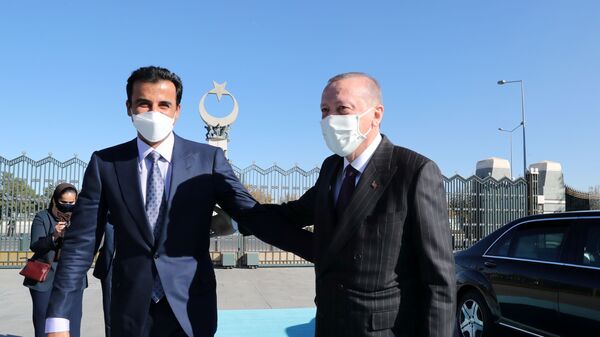 الرئيس التركي، رجب طيب أردوغان، يلتقي أمير قطر، الشيخ تميم بن حمد آل ثاني، في أنقرة، تركيا، 26 نوفمبر/ تشرين الثاني 2020 - سبوتنيك عربي