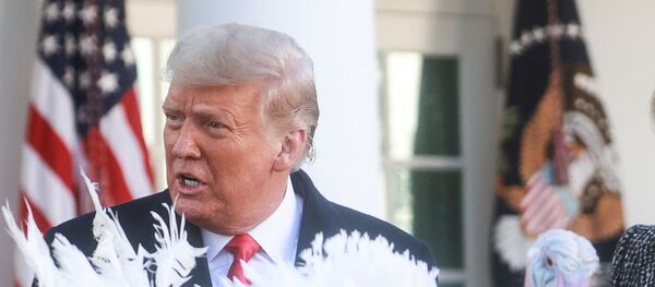 الرئيس الأمريكي، دونالد ترامب، في الحفل الـ73 للعفو عن ديك عيد الشكر في البيت الأبيض، 24 نوفمبر/ تشرين الثاني 2020، واشنطن، الولايات المتحدة  - سبوتنيك عربي