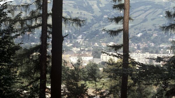بريطانيا - سبوتنيك عربي