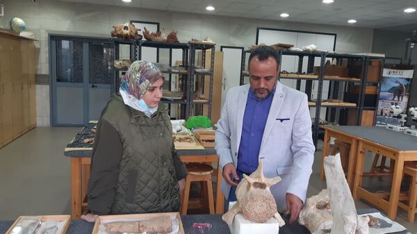 مكتشف منصوراصورس:  يجب الاستفادة من علم الحفريات في تطوير مهارات الأطفال - سبوتنيك عربي