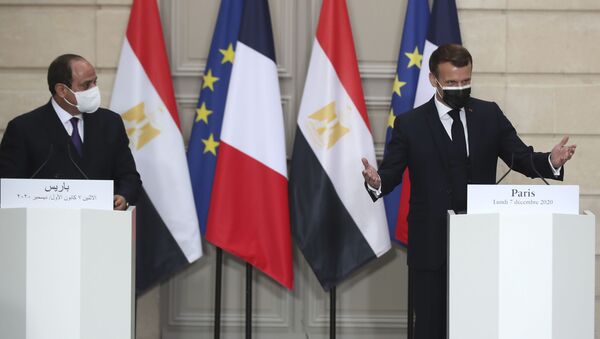 الرئيس الفرنسي إيمانويل ماكرون في مؤتمر صحفي مع الرئيس المصري عبد الفتاح السيسي في باريس - سبوتنيك عربي