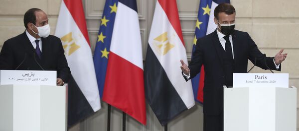 الرئيس الفرنسي إيمانويل ماكرون في مؤتمر صحفي مع الرئيس المصري عبد الفتاح السيسي في باريس - سبوتنيك عربي