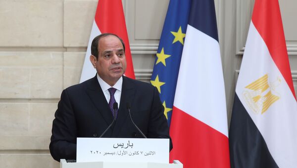  الرئيس الفرنسي، إيمانويل ماكرون والرئيس المصري عبدالفتاح السيسي في باريس، فرنسا 7 ديسمبر 2020 - سبوتنيك عربي