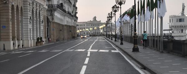 الجزائر العاصمة، 29 يونيو/ حزيران 2020 - سبوتنيك عربي